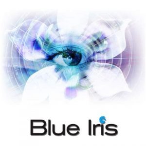 Blue Iris 5.8.3.2 Crack With License Key 2024 Latest Download